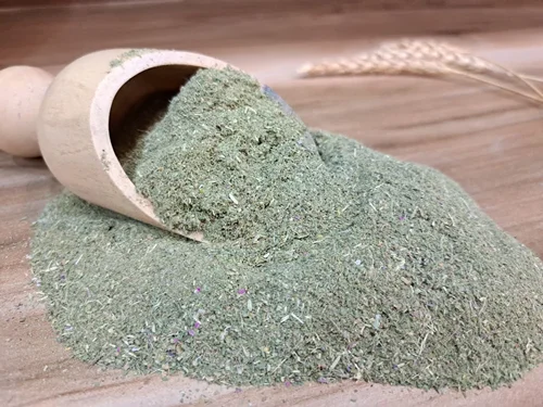 چاشنی ماست